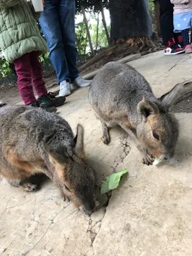 横浜・八景島シーパラダイスに投稿された画像（2023/1/15）