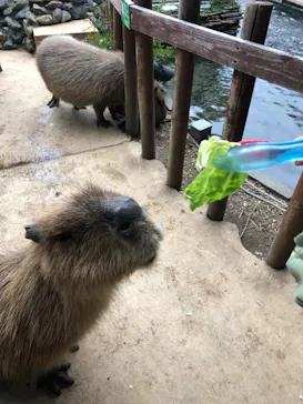 横浜・八景島シーパラダイスに投稿された画像（2023/1/15）