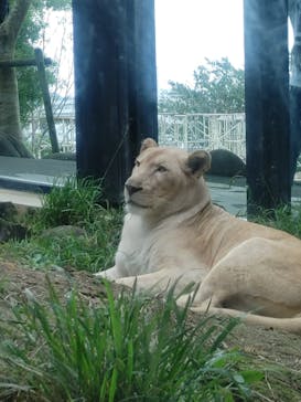 沖縄こどもの国に投稿された画像（2023/1/15）