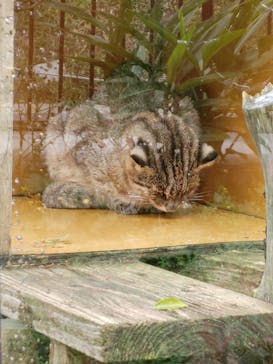 沖縄こどもの国に投稿された画像（2023/1/15）