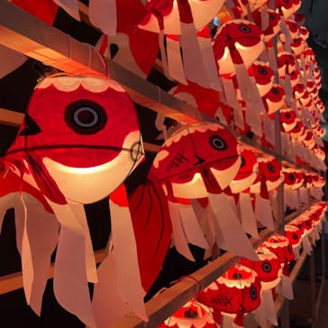 ふるさと祭り東京に投稿された画像（2023/1/15）