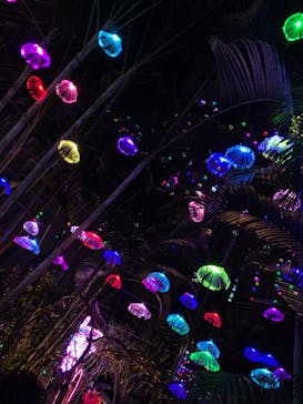 大阪府立花の文化園に投稿された画像（2023/1/15）