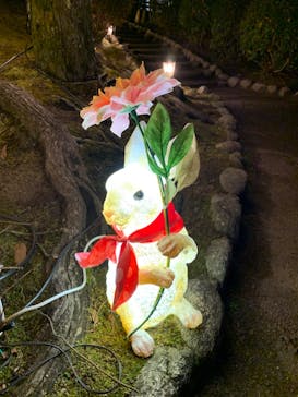 大阪府立花の文化園に投稿された画像（2023/1/15）