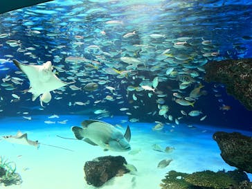 サンシャイン水族館に投稿された画像（2023/1/15）