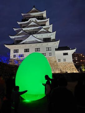 福山城400年博-FUKUYAMA CASTLE EXPO 2022- RCC開局70年 「チームラボ 福山城 光の祭」に投稿された画像（2023/1/15）