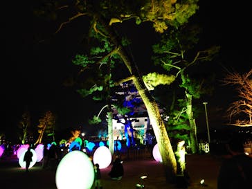 福山城400年博-FUKUYAMA CASTLE EXPO 2022- RCC開局70年 「チームラボ 福山城 光の祭」に投稿された画像（2023/1/15）