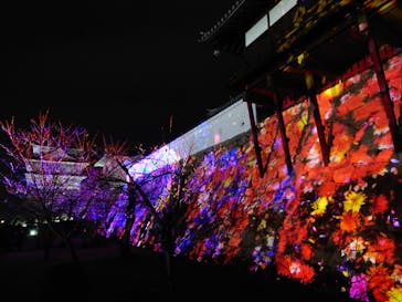 福山城400年博-FUKUYAMA CASTLE EXPO 2022- RCC開局70年 「チームラボ 福山城 光の祭」に投稿された画像（2023/1/15）