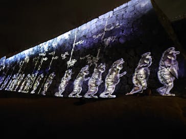 福山城400年博-FUKUYAMA CASTLE EXPO 2022- RCC開局70年 「チームラボ 福山城 光の祭」に投稿された画像（2023/1/15）