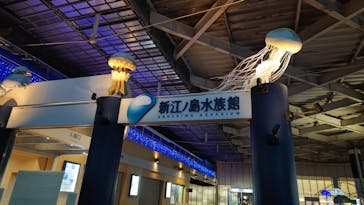 新江ノ島水族館に投稿された画像（2023/1/15）