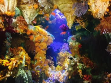 サンシャイン水族館に投稿された画像（2023/1/15）