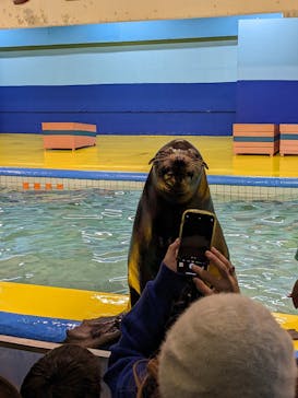 ゼロ距離水族館 伊勢シーパラダイスに投稿された画像（2023/1/15）