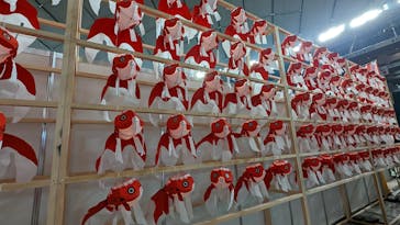 ふるさと祭り東京に投稿された画像（2023/1/15）