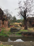 天王寺動物園に投稿された画像（2023/1/16）