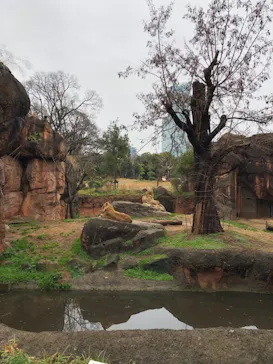 天王寺動物園に投稿された画像（2023/1/15）