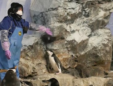 名古屋港水族館に投稿された画像（2023/1/15）