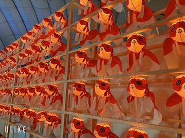 ふるさと祭り東京に投稿された画像（2023/1/15）