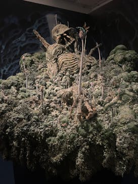 アニメージュとジブリ展に投稿された画像（2023/1/15）