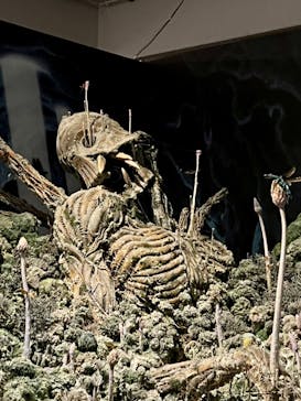 アニメージュとジブリ展に投稿された画像（2023/1/16）