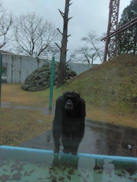 阿蘇カドリー・ドミニオンに投稿された画像（2023/1/16）