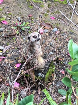 長崎バイオパークに投稿された画像（2023/1/14）