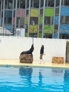 伊豆・三津シーパラダイスに投稿された画像（2023/1/16）