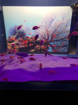 伊豆・三津シーパラダイスに投稿された画像（2023/1/16）