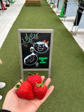 (株)みどりやファームに投稿された画像（2023/1/16）