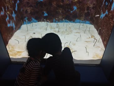 沖縄美ら海水族館に投稿された画像（2023/1/16）