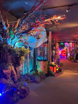 NARA KINGYO MUSEUMに投稿された画像（2023/1/16）