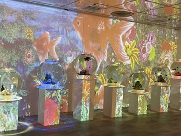 NARA KINGYO MUSEUMに投稿された画像（2023/1/16）