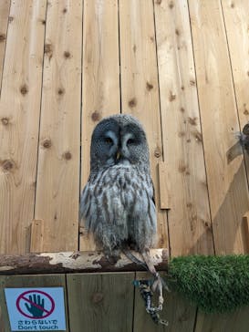 伊豆シャボテン動物公園に投稿された画像（2023/1/16）