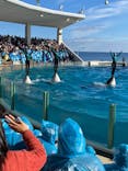 鴨川シーワールドに投稿された画像（2023/1/16）