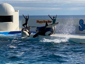 鴨川シーワールドに投稿された画像（2023/1/16）