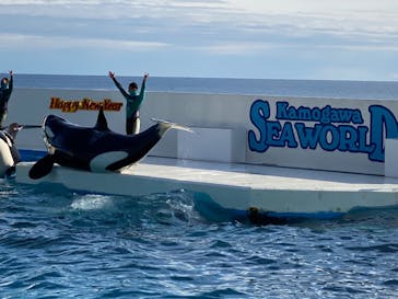 鴨川シーワールドに投稿された画像（2023/1/16）