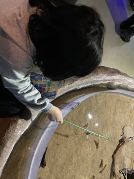 伊豆・三津シーパラダイスに投稿された画像（2023/1/16）