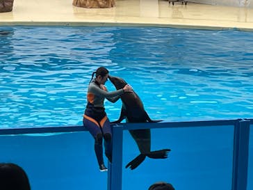 伊豆・三津シーパラダイスに投稿された画像（2023/1/16）