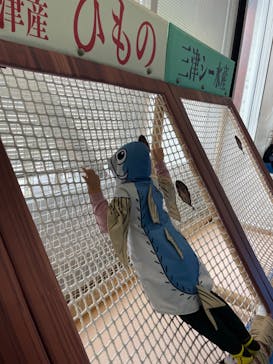 伊豆・三津シーパラダイスに投稿された画像（2023/1/16）