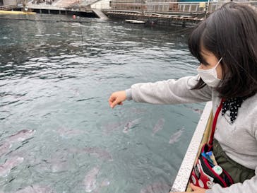 伊豆・三津シーパラダイスに投稿された画像（2023/1/16）