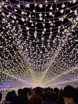 東京メガイルミに投稿された画像（2023/1/16）