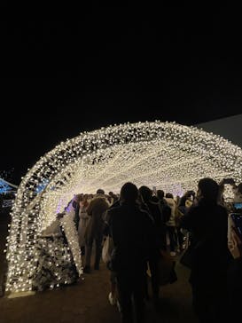 東京メガイルミに投稿された画像（2023/1/16）