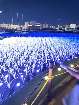 東京メガイルミに投稿された画像（2023/1/16）