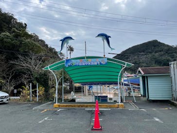 下田海中水族館に投稿された画像（2023/1/16）
