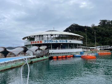 下田海中水族館に投稿された画像（2023/1/16）