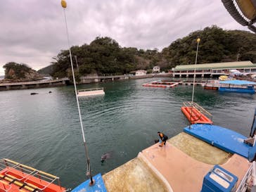 下田海中水族館に投稿された画像（2023/1/16）