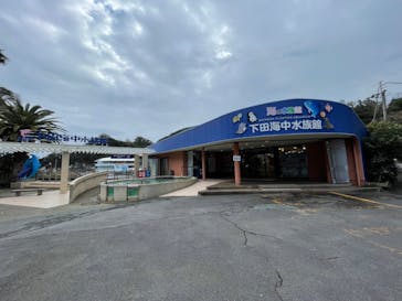 下田海中水族館に投稿された画像（2023/1/16）