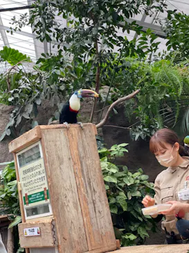 神戸どうぶつ王国に投稿された画像（2023/1/16）