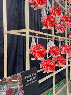 ふるさと祭り東京に投稿された画像（2023/1/16）