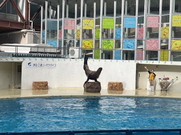 伊豆・三津シーパラダイスに投稿された画像（2023/1/16）