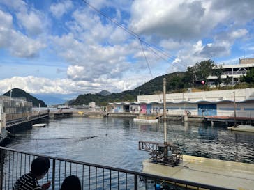 伊豆・三津シーパラダイスに投稿された画像（2023/1/16）