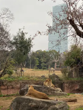 天王寺動物園に投稿された画像（2023/1/16）